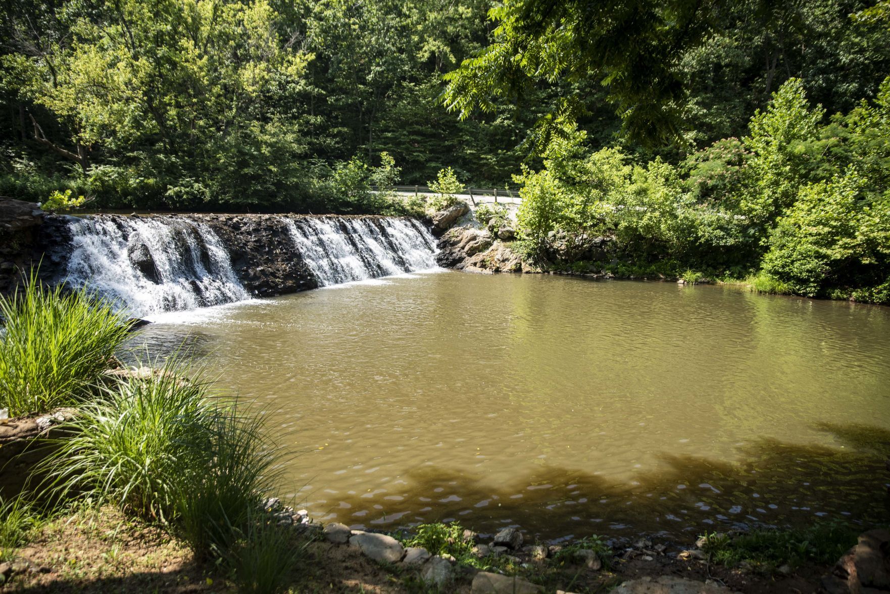 Welcome Home, Stonewall Mill